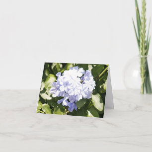 Blue Plumbago Photo Folded Note Card