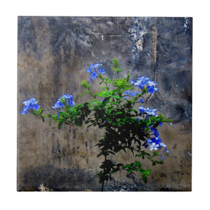 Blue Plumbago Tile