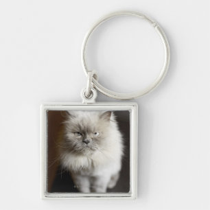 Blue Point Himalayan Cat looking irritated Key Ring