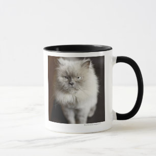 Blue Point Himalayan Cat looking irritated Mug