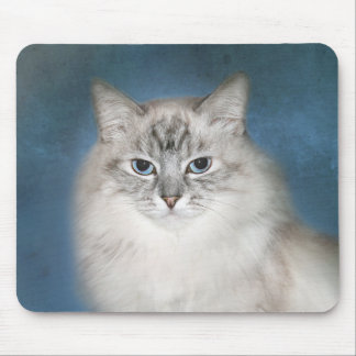 Blue point Himalayan cat Mouse Mat
