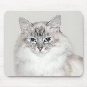 Blue point Himalayan cat Mouse Mat