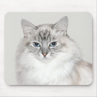 Blue point Himalayan cat Mouse Mat