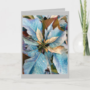 Blue Pointsettia Holiday Card