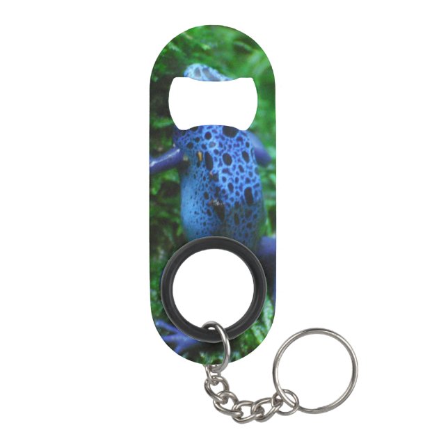 Blue Poison Arrow Frog (Back)