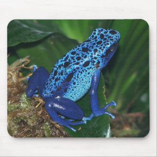 Blue Poison Arrow Frog Portrait Mouse Mat