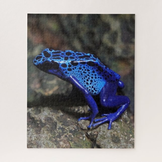 Blue Poison Dart Frog, Bright Blue Frog Jigsaw Puzzle (Vertical)