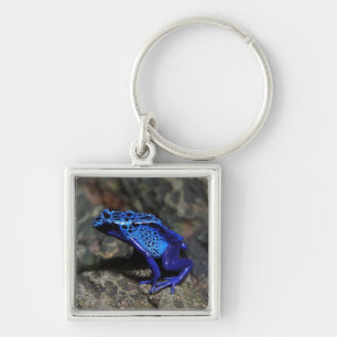 Blue Poison Dart Frog, Bright Blue Frog Key Ring