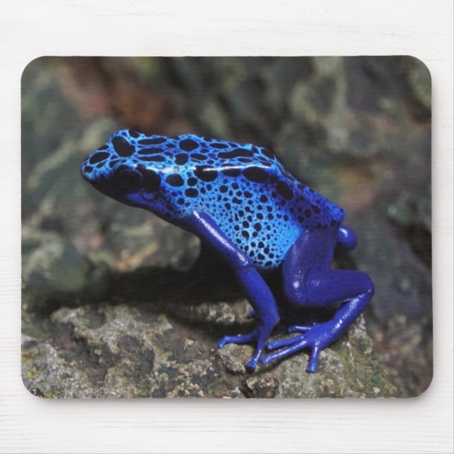 Blue Poison Dart Frog, Bright Blue Frog Mouse Mat (Front)