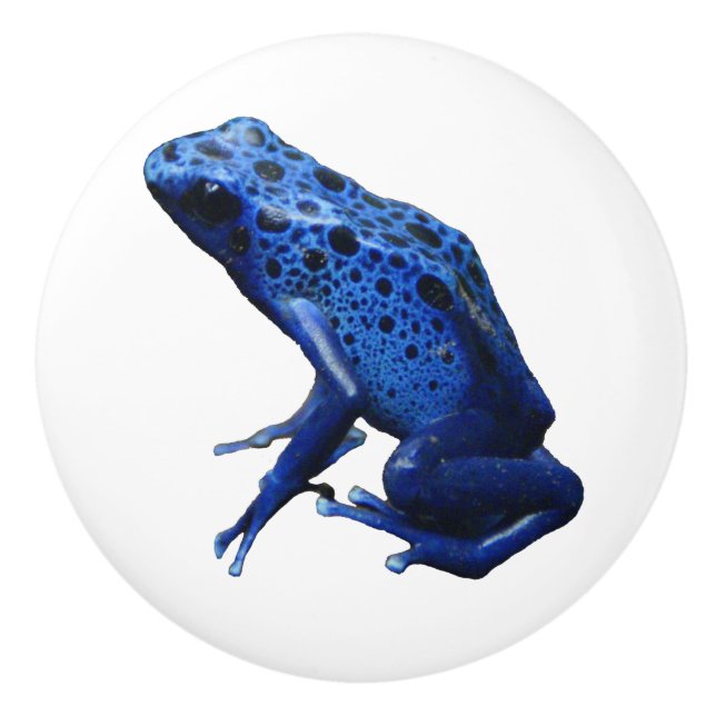 Blue Poison Dart Frog Ceramic Knob (Front)