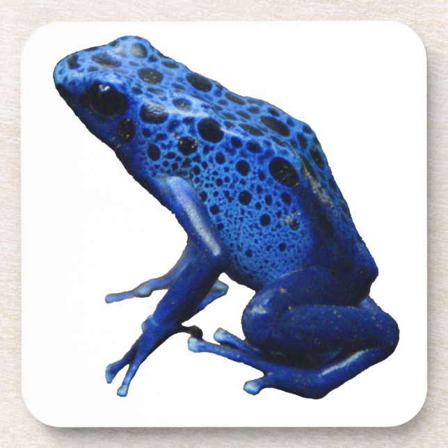 Blue Poison Dart Frog Coaster (Front)