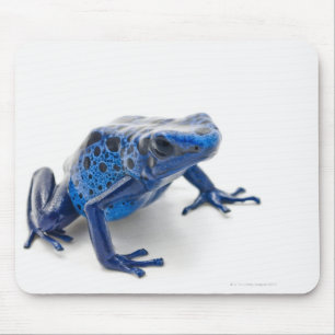 Blue Poison Dart Frog (Dendrobates Tinctorius) Mouse Mat