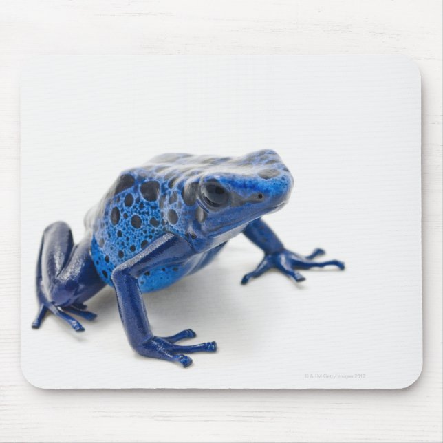 Blue Poison Dart Frog (Dendrobates Tinctorius) Mouse Mat (Front)