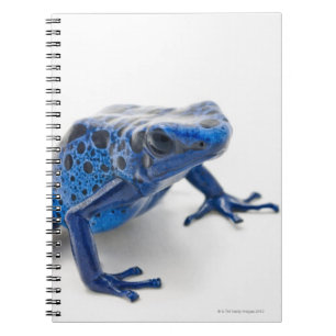 Blue Poison Dart Frog (Dendrobates Tinctorius) Notebook
