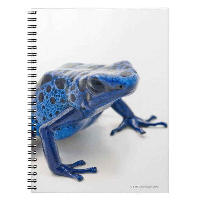 Blue Poison Dart Frog (Dendrobates Tinctorius) Notebook (Front)