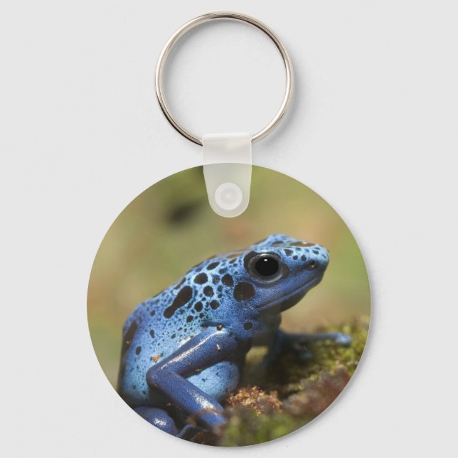 Blue Poison Dart Frog Key Ring (Front)