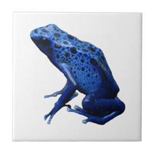 Blue Poison Dart Frog Tile