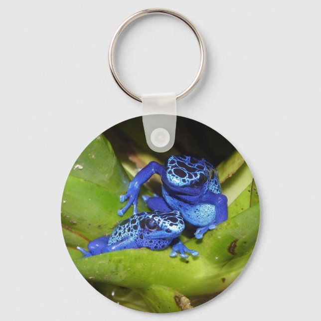 Blue Poison Dart Frogs In Leaf 1 Key Ring (Front)