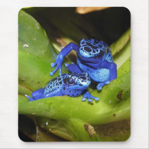 Blue Poison Dart Frogs In Leaf 1 Mouse Mat
