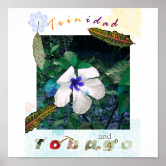 blue pollen ts zazzle poster