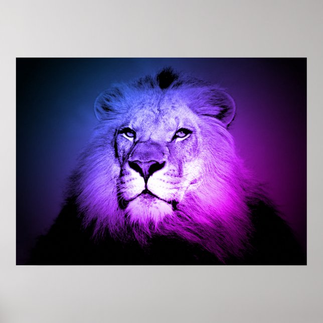 Blue Pop Art Lion - Wild Animal Photography Poster (Front)