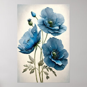 Blue Poppy Flowers Art Print Poster