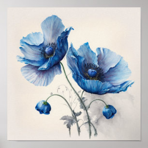 Blue Poppy Flowers Art Print Poster