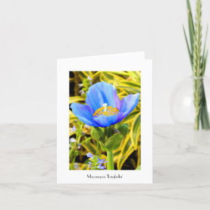 Blue Poppy Folded Note Card