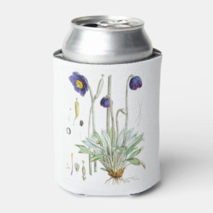 Blue Poppy Illustrations Himalayan plants Can Cooler