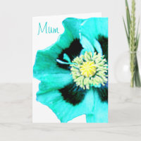 Blue Poppy 'Mum' Mother's Day card white