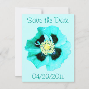 Blue Poppy 'Save the Date' announcement blue