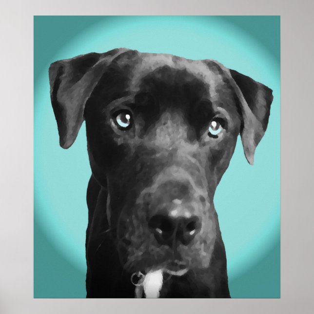 Blue Poster (Front)