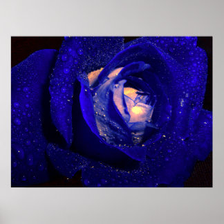 blue poster
