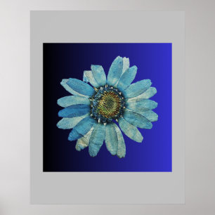 blue poster