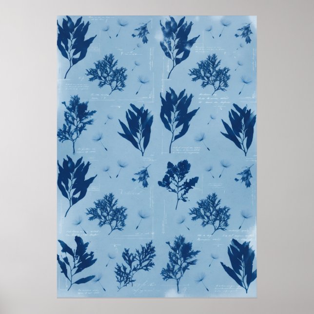 Blue Pressed Seaweed Cyanotype Coastal Pattern Poster (Front)