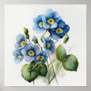 Blue Primrose Flowers Art Print Poster
