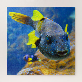 Blue Pufferfish, Yellow Fins & Spotted Jigsaw Puzzle