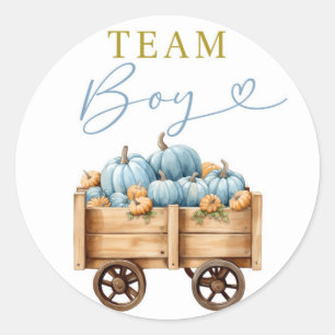 Blue Pumpkin Carriage Team Boy Sticker