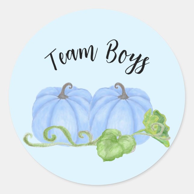Blue pumpkin twin gender reveal Team Boys Classic Round Sticker (Front)