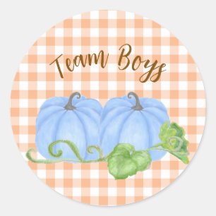 Blue pumpkin twin gender reveal Team Boys Classic Round Sticker