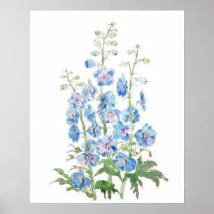 blue purple delphinium ink and watercolor poster