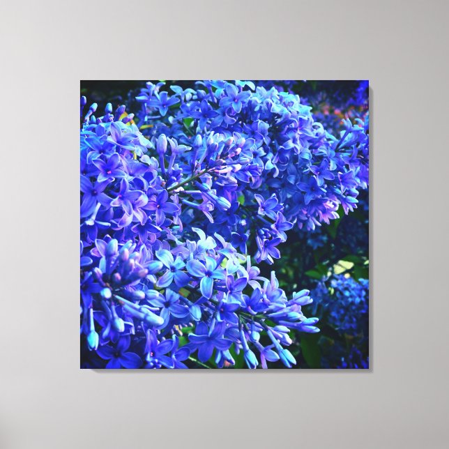 Blue purple lilacs romantic blue floral photo canvas print (Front)
