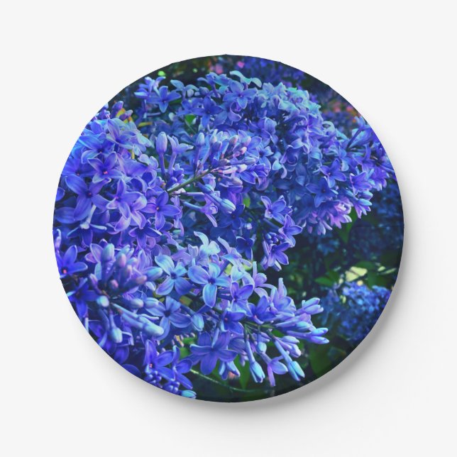 Blue purple lilacs romantic blue floral photo paper plate (Front)