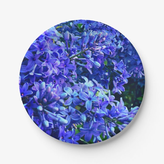 Blue purple lilacs romantic blue floral photo paper plate (Front)