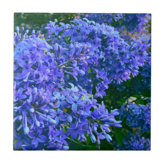 Blue purple lilacs romantic blue floral photo tile