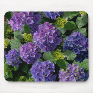 Blue purple magenta Hydrangeas  Mouse Mat