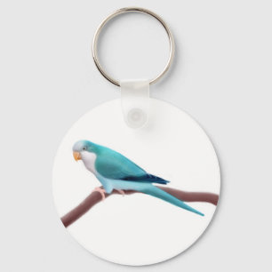 Blue Quaker Parrot Keychain