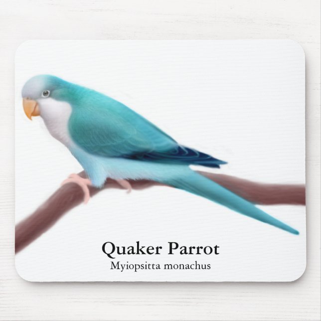 Blue Quaker Parrot Mousepad (Front)