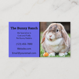 Blue Rabbit Breeder Business Card