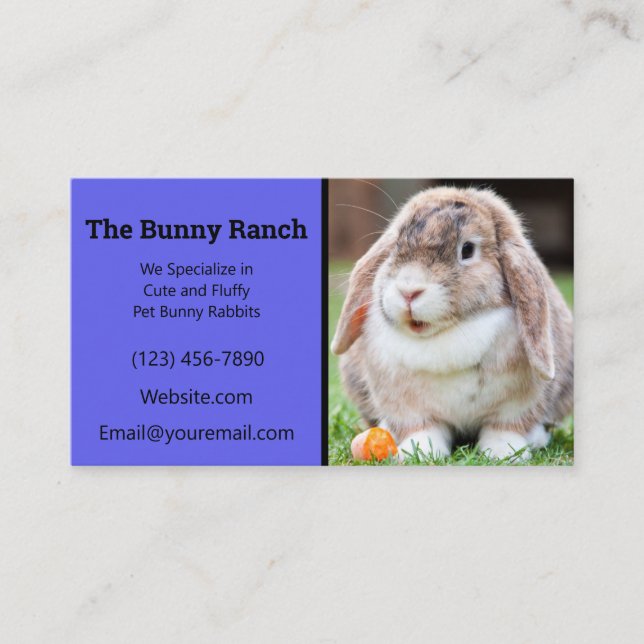 Blue Rabbit Breeder Business Card (Front)